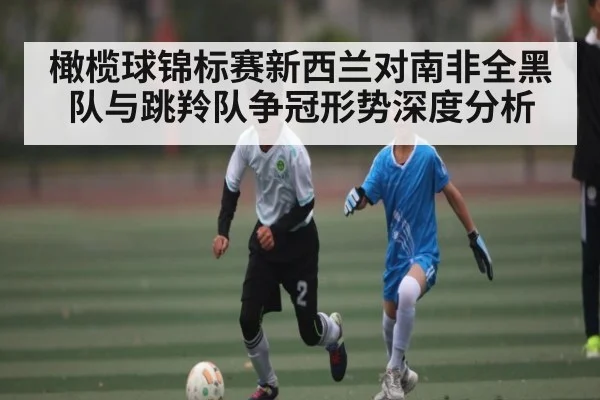 橄榄球锦标赛新西兰对南非全黑队与跳羚队争冠形势深度分析